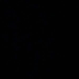 Meet your Posher, Chloe